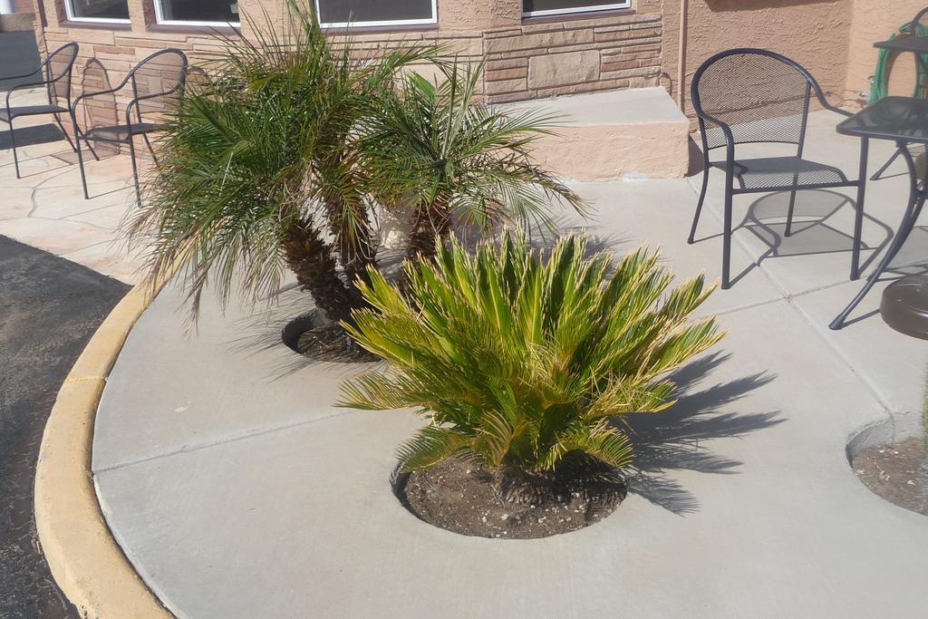 Palms Inn Gila Bend Exterior photo